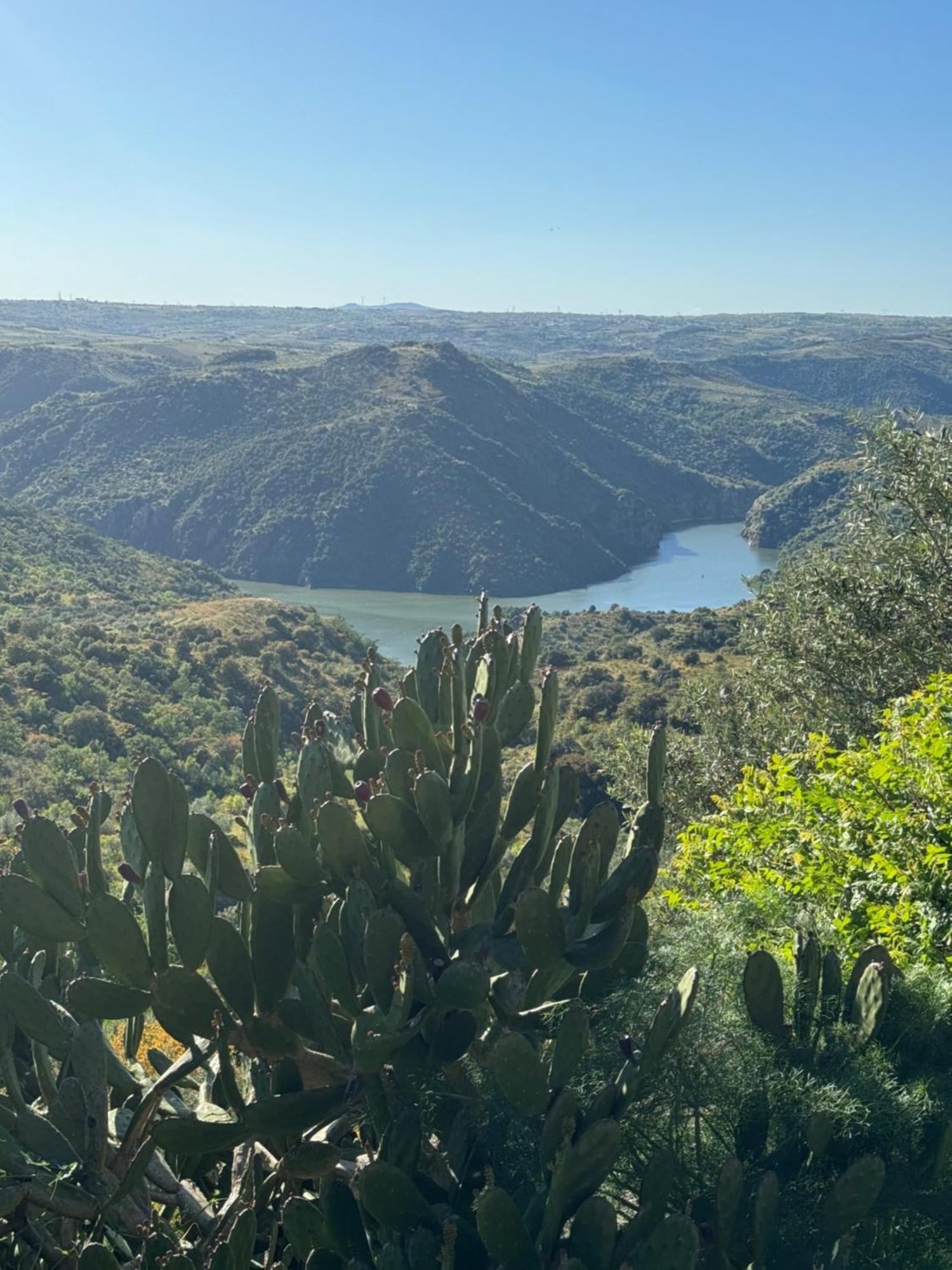 La Casita De Los Arribes Fermoselle Εξωτερικό φωτογραφία