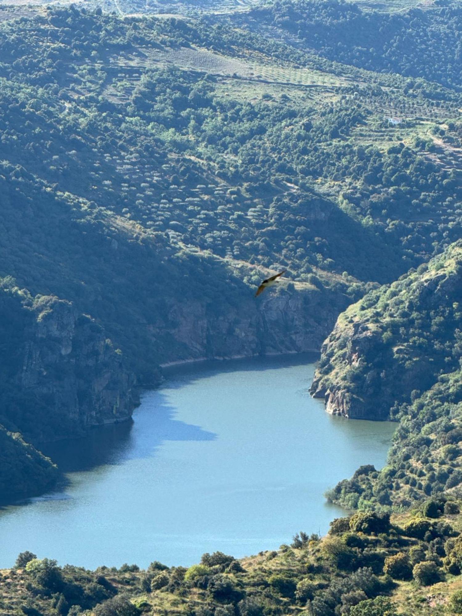La Casita De Los Arribes Fermoselle Εξωτερικό φωτογραφία