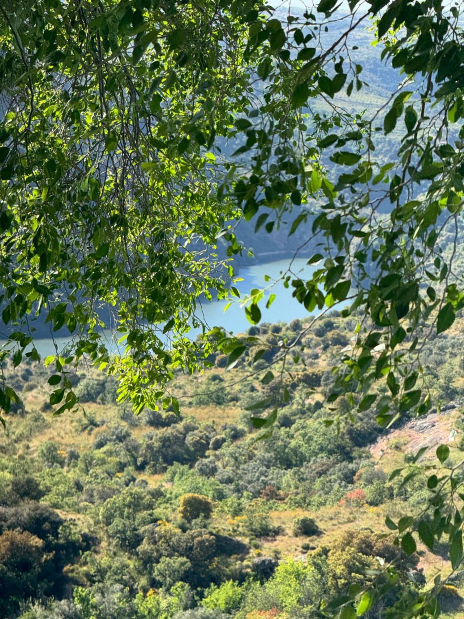 La Casita De Los Arribes Fermoselle Εξωτερικό φωτογραφία